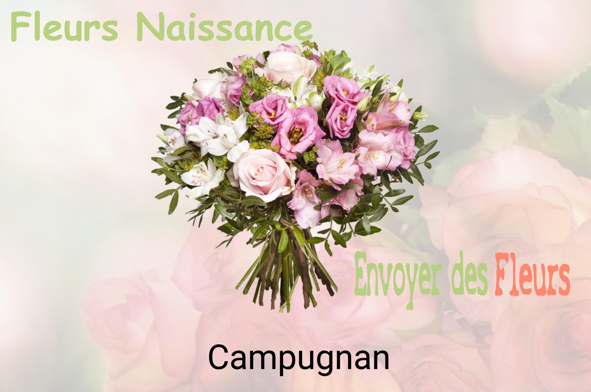 Bouquet de fleurs de naissance livré à Campugnan